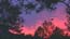 Sunset 55.6 kbytes